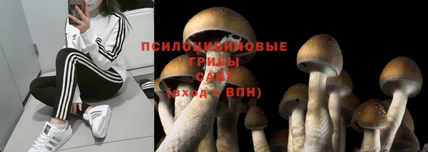 круглые Беломорск