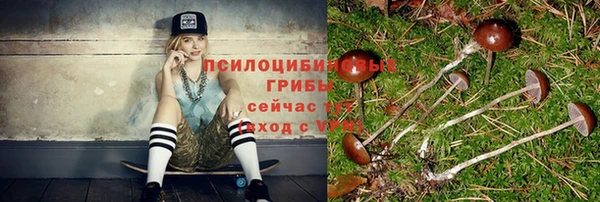 стафф Белокуриха