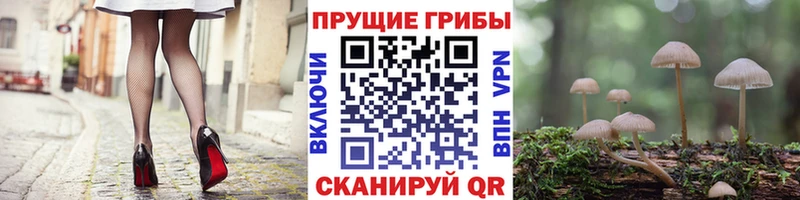 Псилоцибиновые грибы Cubensis  маркетплейс официальный сайт  Великие Луки 